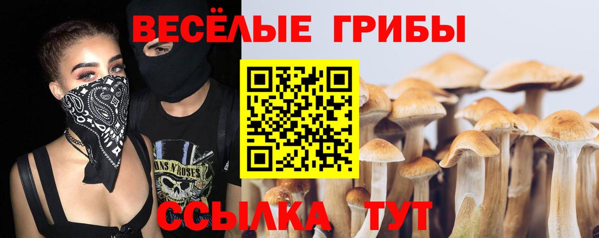 Псилоцибиновые грибы ЛСД  Вход с VPN  наркота  Уссурийск  Галлюциногенные грибы GOLDEN TEACHER 