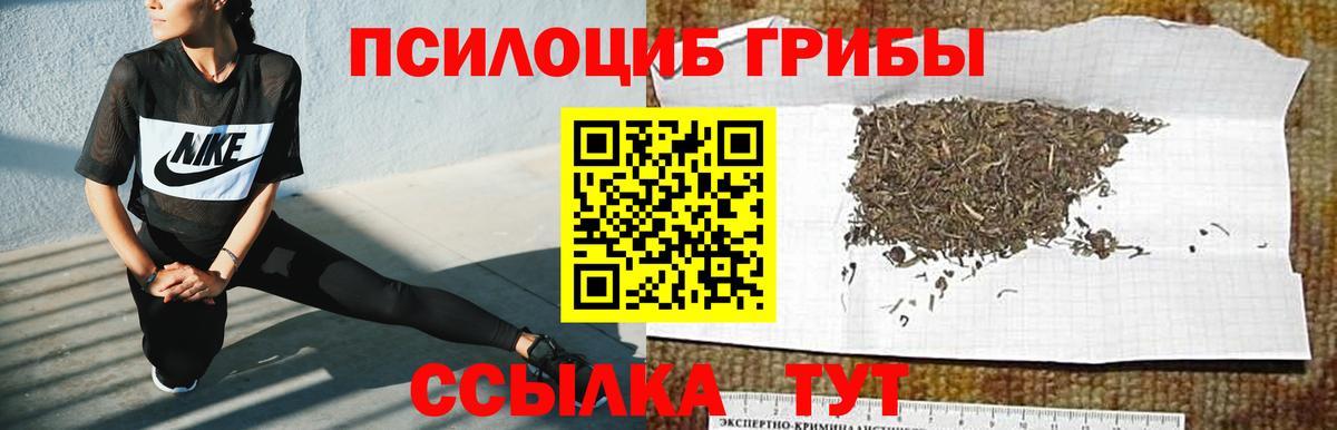 Галлюциногенные грибы Magic Shrooms Уссурийск